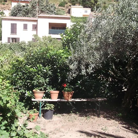 Maison d'hôtes Casa Vincensini