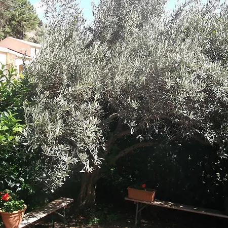 Casa Vincensini
