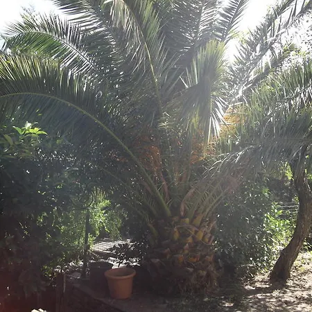 Guest house Casa Vincensini *